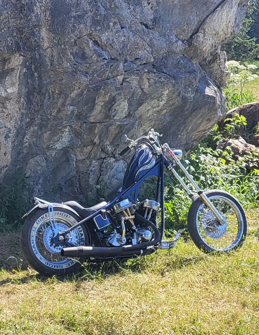 Gereviseerd motorblok gemonteerd in een custom frame